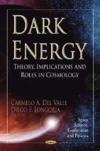 bokomslag Dark Energy