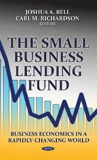 bokomslag Small Business Lending Fund
