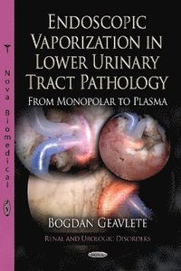 bokomslag Endoscopic Vaporization in Lower Urinary Tract Pathology from Monopolar to Plasma