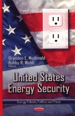 bokomslag United States Energy Security