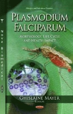 bokomslag Plasmodium Falciparum