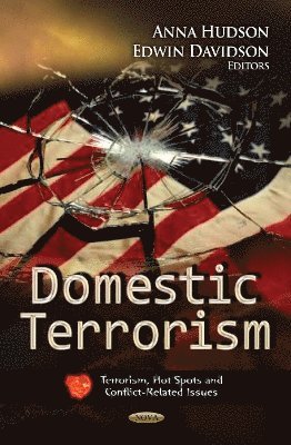 bokomslag Domestic Terrorism