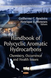 bokomslag Handbook of Polycyclic Aromatic Hydrocarbons