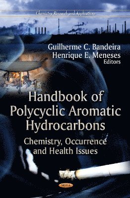 bokomslag Handbook of Polycyclic Aromatic Hydrocarbons