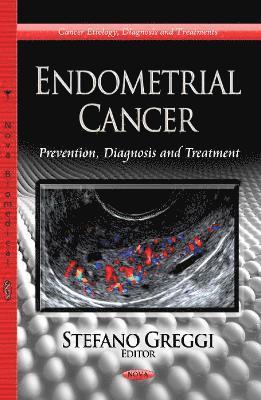 bokomslag Endometrial Cancer