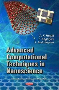 bokomslag Advanced Computational Techniques in Nanoscience