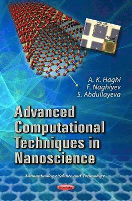 bokomslag Advanced Computational Techniques in Nanoscience