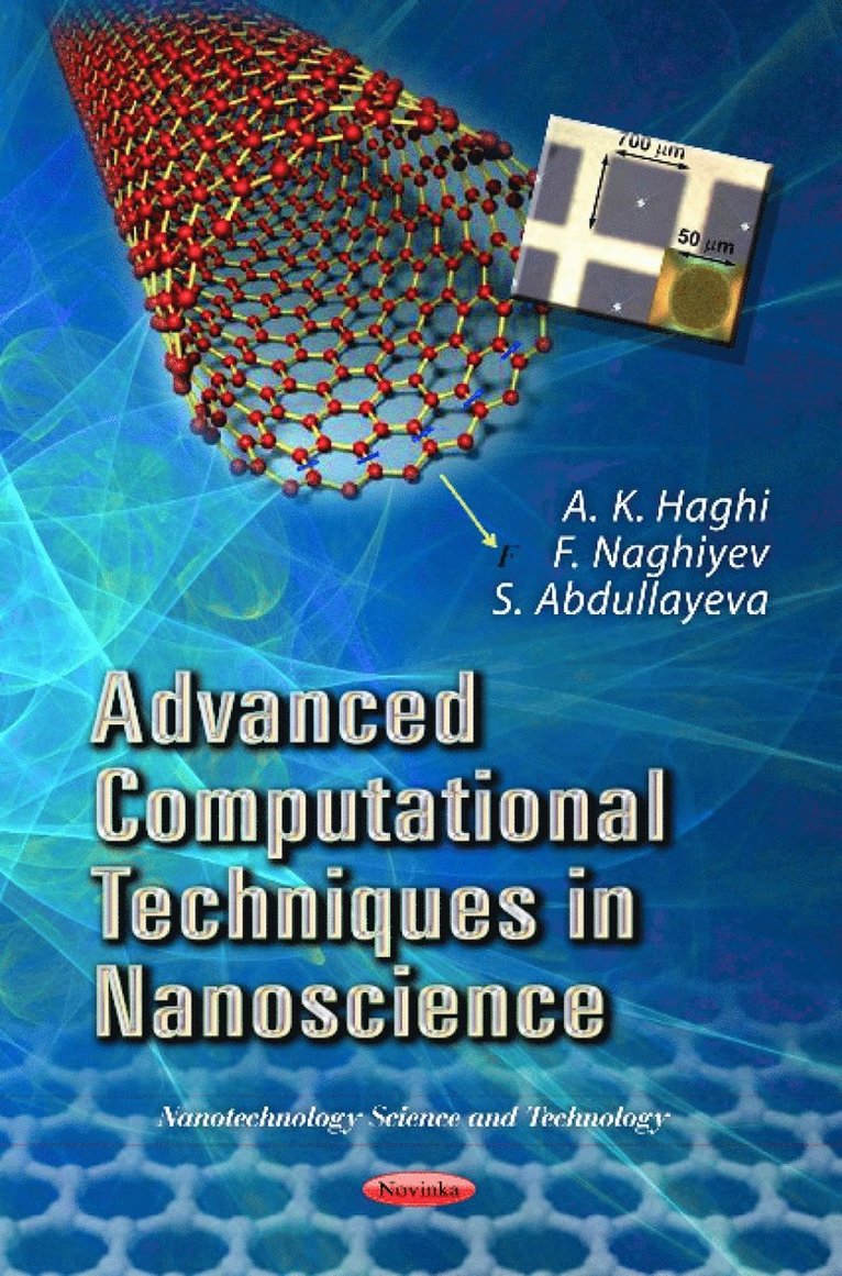 A K Haghi, F Naghiyev, S Abdullayeva - Advanced Computational Techniques in Nanoscience, Häftad