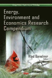 bokomslag Energy, Environment & Economics Research Compendium