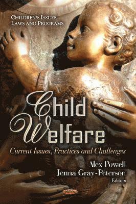 bokomslag Child Welfare