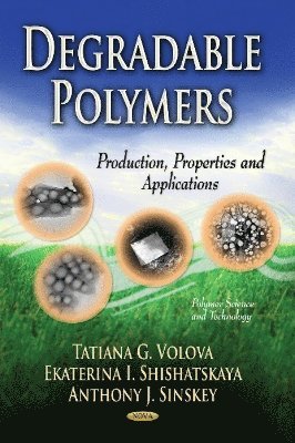 bokomslag Degradable Polymers