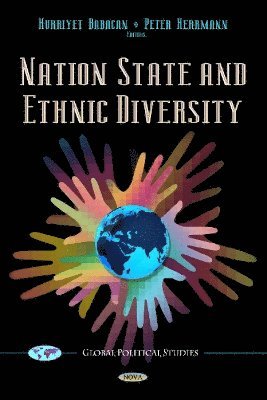 bokomslag Nation State & Ethnic Diversity