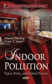bokomslag Indoor Pollution
