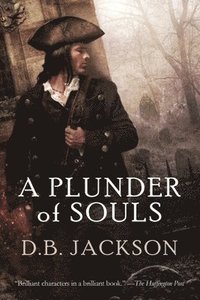 bokomslag A Plunder of Souls