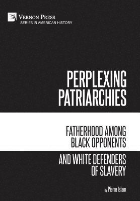 bokomslag Perplexing Patriarchies: Fatherhood Among Black Opponents and White Defenders of Slavery