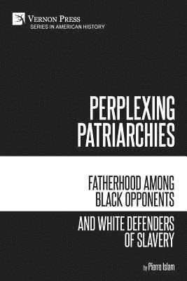 Pierre Islam - Perplexing Patriarchies: Fatherhood Among Black Opponents and White Defenders of Slavery, Häftad