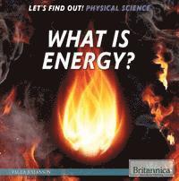 Paula Johanson - What Is Energy?, Inbunden