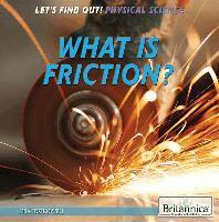Lisa Idzikowski - What Is Friction?, Häftad