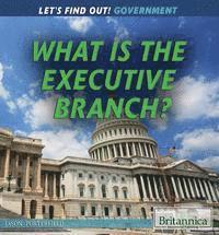 Jason Porterfield - What Is the Executive Branch?, Inbunden