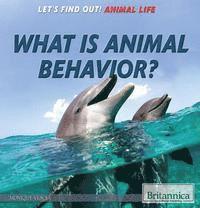 Monique Vescia - What Is Animal Behavior?, Inbunden
