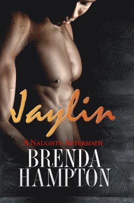 bokomslag Jaylin: A Naughty Aftermath