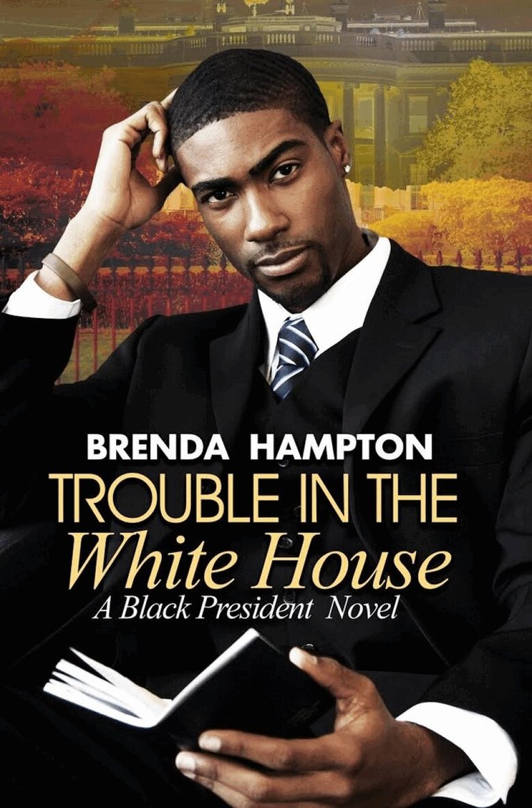Brenda Hampton - Trouble in the White House, Häftad. Tillgänglighet: Tillfälligt slut