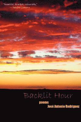 bokomslag Backlit Hour