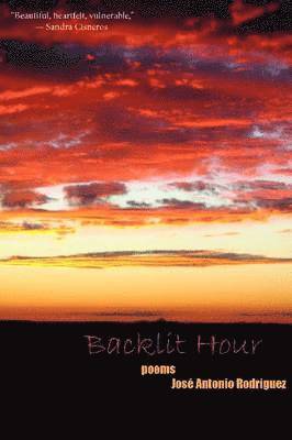 The Backlit Hour 1