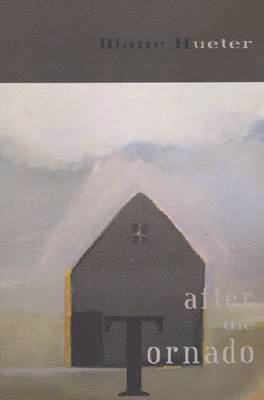 Diane Hueter - After the Tornado, Häftad