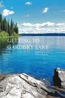 Paul J. Willis, Paul Willis - Getting to Gardisky Lake, Häftad