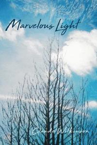 bokomslag Marvelous Light
