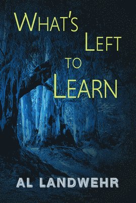 What's Left to Learn 1