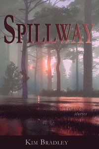 bokomslag Spillway