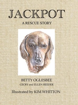 bokomslag Jackpot A Rescue Story