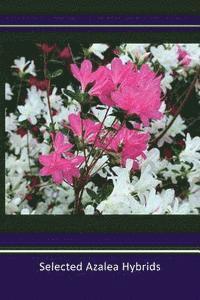 Selected Azalea Hybrids 1