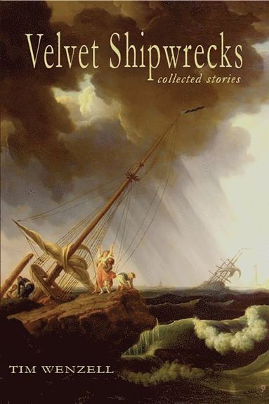 bokomslag Velvet Shipwrecks: Collected Stories