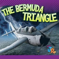 bokomslag The Bermuda Triangle