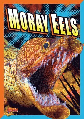 bokomslag Moray Eels