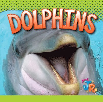 Marysa Storm - Dolphins, Inbunden
