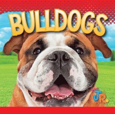 Marysa Storm - Bulldogs, Inbunden