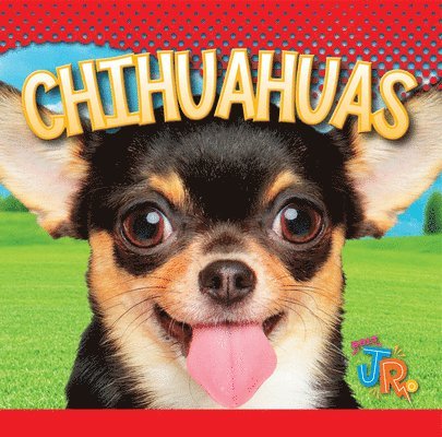 Marysa Storm - Chihuahuas, Inbunden