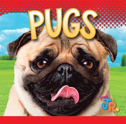 Marysa Storm - Pugs, Inbunden