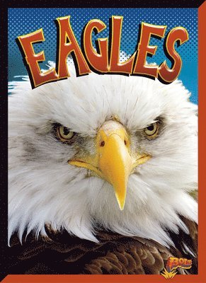 Eagles 1