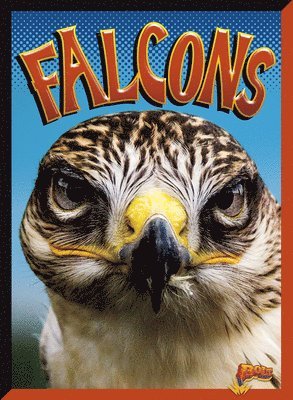 bokomslag Falcons