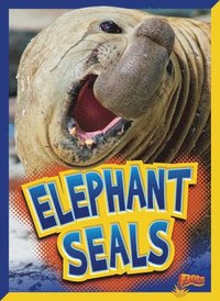 bokomslag Elephant Seals