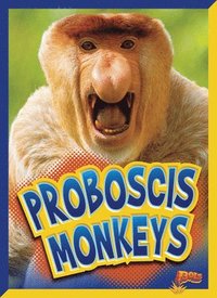 bokomslag Proboscis Monkeys