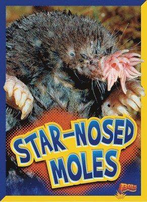 Star-Nosed Moles 1