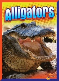 bokomslag Alligators