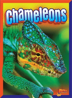Mark Weakland - Chameleons, Inbunden