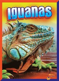 bokomslag Iguanas